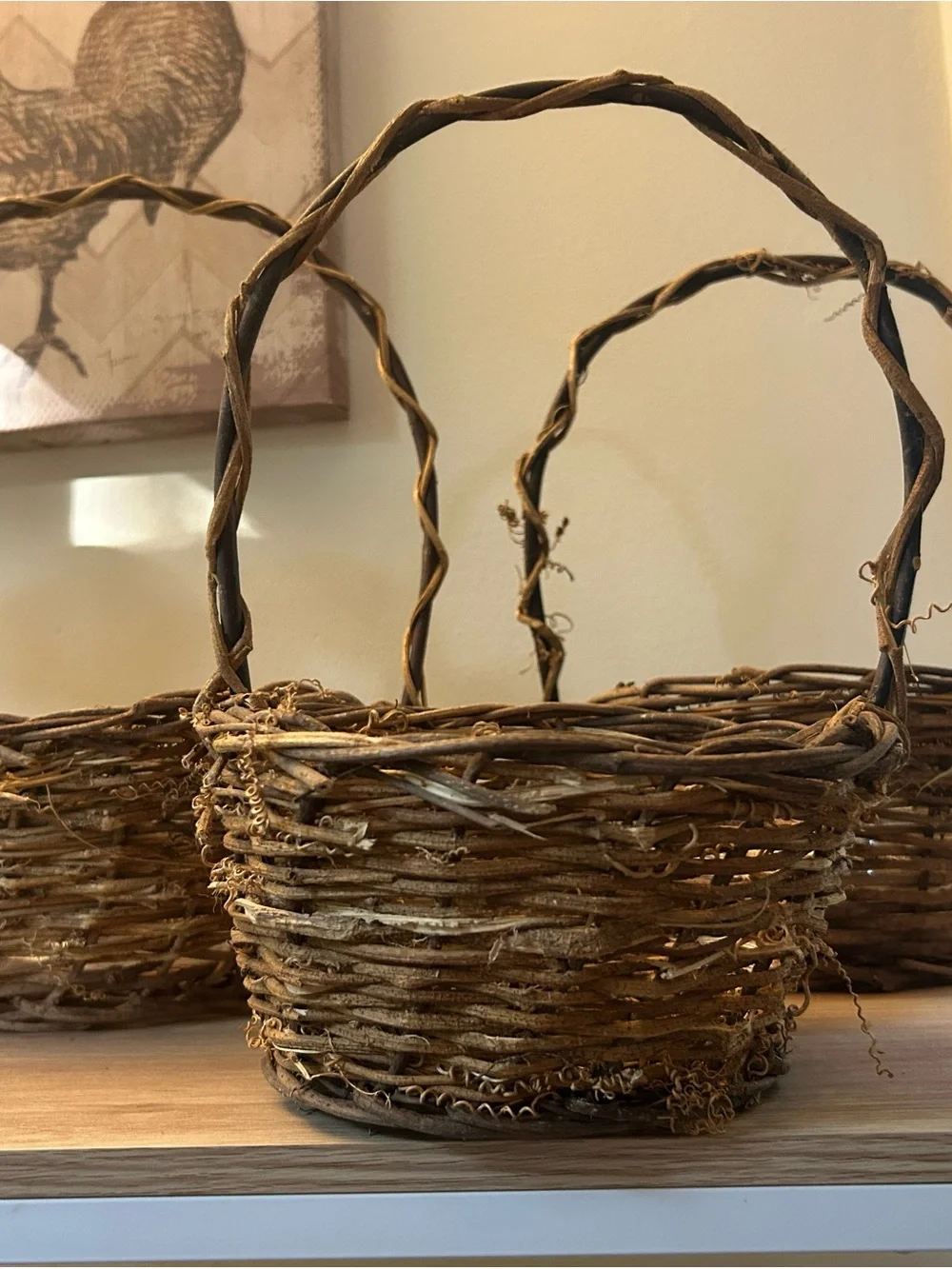 Rustic Wicker Vine Baskets with Handle - Brown - 3 included